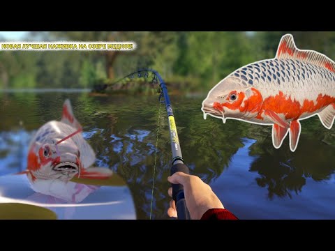 Видео: НОВАЯ ЛУЧШАЯ НАЖИВКА НА ОЗЕРЕ МЕДНОЕ! ВОТ ЭТО УЖЕ Я ПОНИМАЮ КЛЕВ!