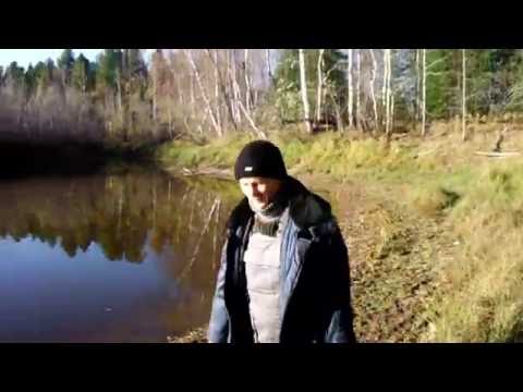 Видео: Песня про бывалого рыбака