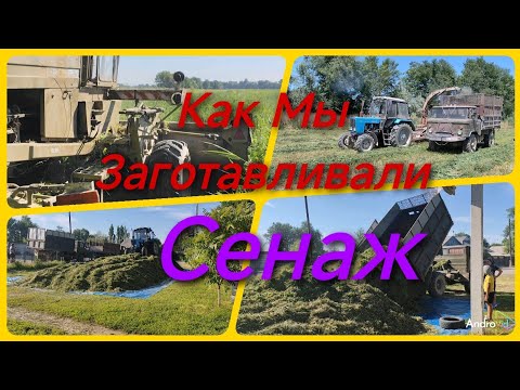 Видео: Заготовка Сенажа!