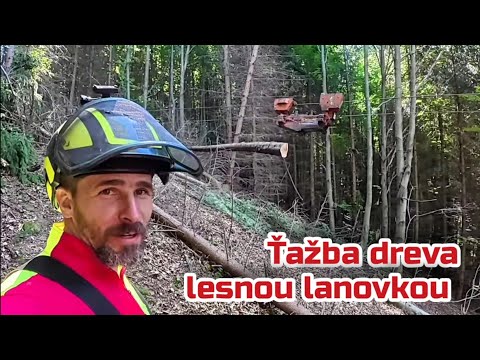 Видео: Лесозаготовка с помощью лесной канатной дороги SYNCROFALKE 3T, TRACTORIADA, Amles, Stihl 400.1