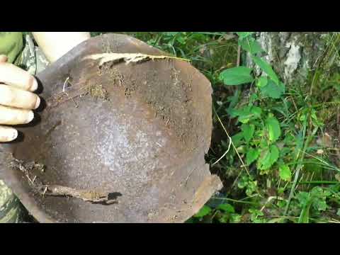 Видео: Коп в лесу  от 2019г.Александр(реставратор)№265