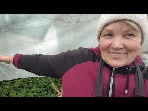 Видео:  Розпаковка. Як впливає пакування посилок на ціну  нп