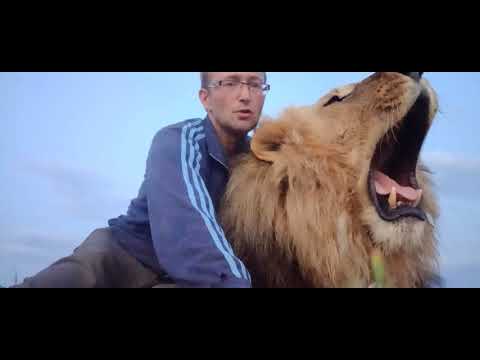 Видео: История одного льва - Левушка. One lion's story - Leew