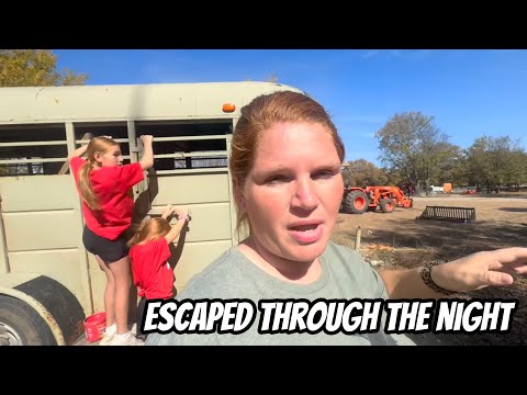 Видео: Это было неожиданное спасение