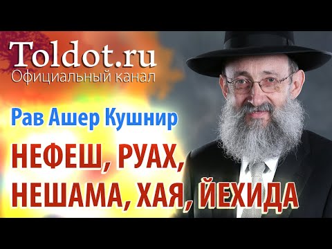 Видео: Рав Ашер Кушнир. «Нефеш», «Руах», «Нешама», «Хая», «Йехида». ДЕРЕХ АШЕМ 56
