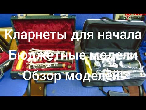 Видео: Кларнет. Купить кларнет начинающему по доступной цене в магазине Мьюзик-Стор | musik-store.ru
