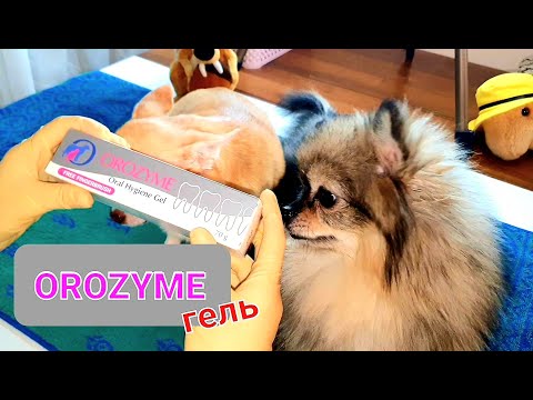 Видео: Orozyme гель для гигиены полости рта у собак