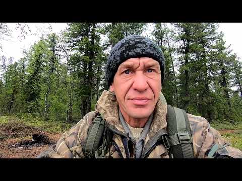 Видео: Рыбалка налаживается. Щуки берут.