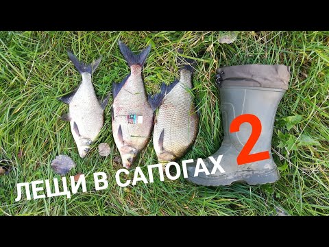 Видео: Странно, но это РАБОТАЕТ! Долгожданные лещи на искусственную приманку.