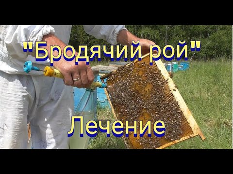 Видео: Лечение бродячего роя.