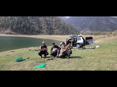 Видео: ТРОФЕЙ! БЕЛЫЙ АМУР, Рыбалка Ала-Бука, 4,6кг