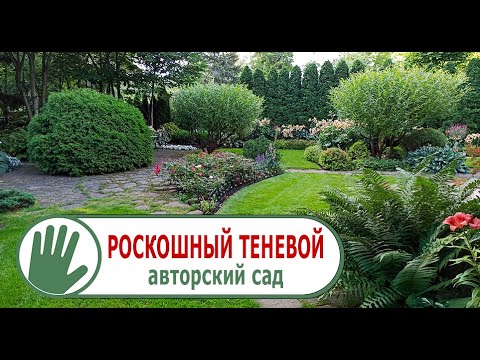 Видео: Видео журнал «Сады в отличной форме №49» Роскошный теневой авторский сад в Подмосковье.