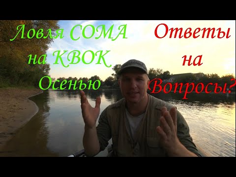 Видео: Ловля сома на квок осенью! Ответы на вопросы . #fishing #сомнаквок #квок #сом #catfish