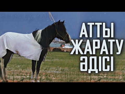 Видео: АТТЫ ҚАЛАЙ ЖАРАТАМЫЗ❓🐎