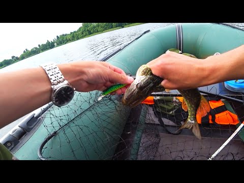 Видео: Рыбалка на спиннинг с лодки | Ловля щуки и окуня на озере