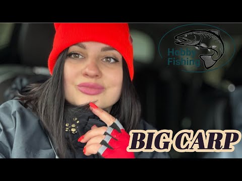 Видео: Рыбалка. Спиннинг. Форель