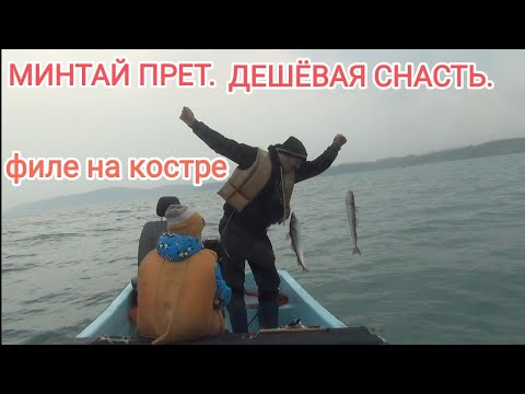 Видео: Ловля минтая.Рыбалка на минтая. Минтай 2022.Минтай с лодки. Ловля минтая в Приморье.