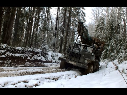 Видео: Покатушки за лесом на Урале лесовозе Чем дальше - тем страшней...