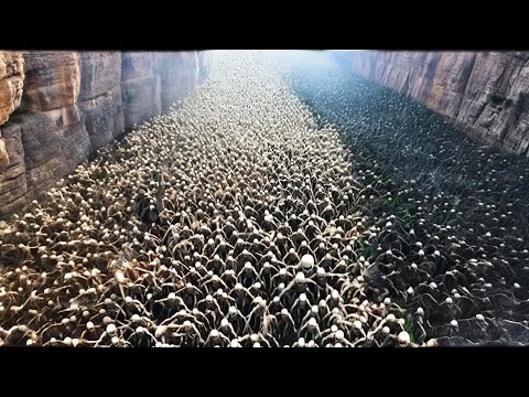 Видео: Вот Почему США Боятся Добывать Ресурсы в Гранд-Каньоне