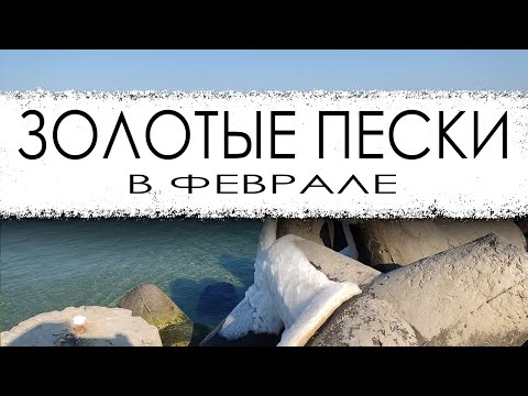 Видео: Золотые пески зимой