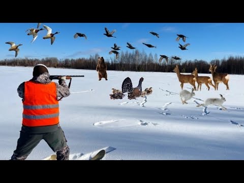 Видео: ТАКОЕ БЫВАЕТ РАЗ В ЖИЗНИ. Гладкоствольное Оружие дарит яркие Моменты!!!