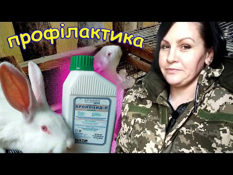 Видео: Кокцидіоз, вздуття, діарея у кролів-про все забули завдяки Кроноцид-Л