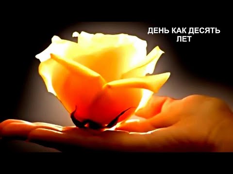 Видео: ДЕНЬ КАК ДЕСЯТЬ ЛЕТ