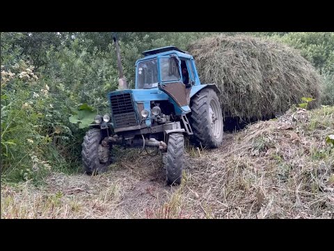 Видео: Трактор Беларусь МТЗ 82 Возить Сена 2021