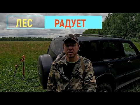 Видео: КОП по старине на просёлочной дороге/Search for ancient finds on a country road