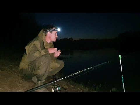 Видео: Адреналиновая рыбалка на куриную печень (часть 1)