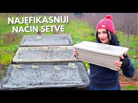 Видео: Посев Декабрьского Рассадника для МИНИМАЛЬНЫХ ПОТЕРЬ Рассады