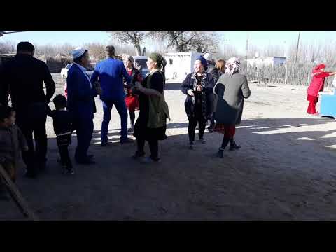 Видео: Аккыр