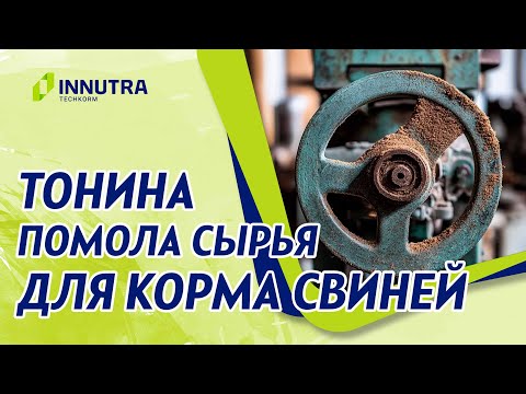 Видео: Значение тонины помола компонентов корма при кормлении свиней