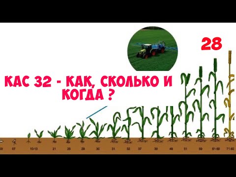 Видео: КАС-32 - Сколько, как и когда вносить ? Мой личный опыт по технологии внесения ...