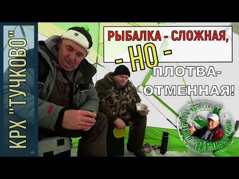 Видео: Рыбалка в КРХ "Тучково" ПЛОТВА ЕСТЬ/НАДО ИСКАТЬ/РАЗМЕР ДОБРОТНЫЙ!