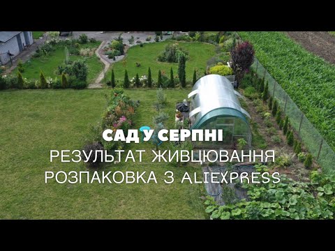 Видео: Прогулянка садом, огляд квітників 🌺🌼🍏