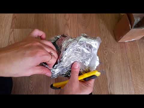 Видео: Распаковка Алоказии Веном ( клубень) #🪴🪴🪴комнатные растения