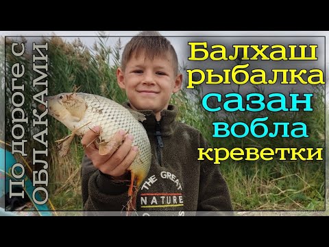 Видео: Рыбачим на Балхаше. Вобла, сазан, креветки!