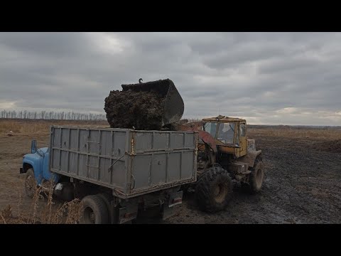 Видео: ПОГРУЗКА НАВОЗА НА Т-156!