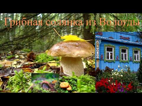 Видео: Мошенник! Хватит разводяг - тобой займется здесь моряк.