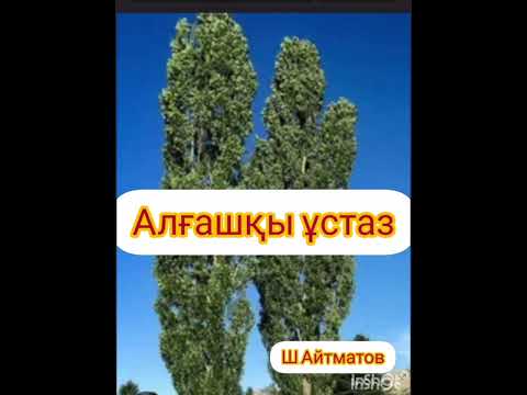 Видео: Алғашқы ұстаз 2-ші бөлім | Повес | Ш.Айтматов |