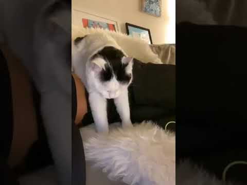 Видео: Прямой эфир певица Ёлка от 01.04.2020