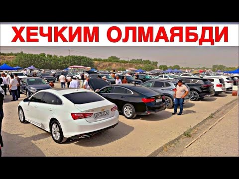 Видео: 9-NOYABR  SAMARQAND MOSHINA BOZORI 2025. 9-НОЯБР  САМАРКАНД МОШИН БОЗОР 2025MOSHINA NARXLARI 2025