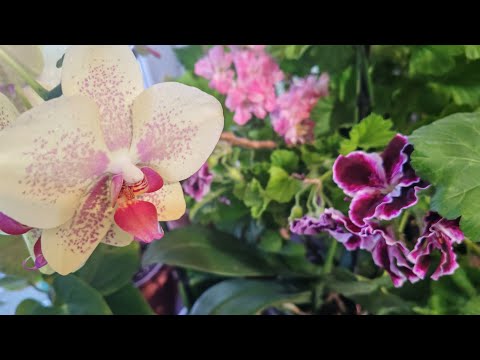 Видео: ШОК😱Запекла ГНЁЗДА ИЗ ЧИЖИКА И ВОТ ЧТО ПОЛУЧИЛОСЬ 😭