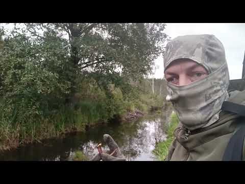 Видео: ОХОТА НА БОБРА 2025г. НЕ СТАЛ СТРЕЛЯТЬ.#охота#охотанабобра#бобр#hunting #hunter#beaver#huntingbeaver