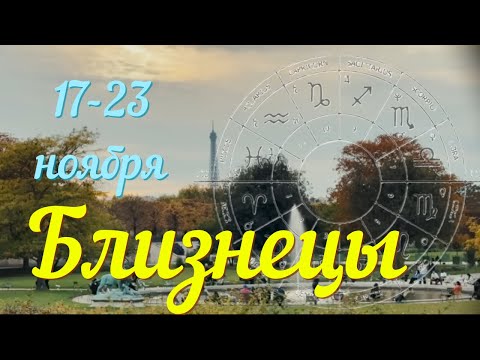 Видео: БЛИЗНЕЦЫ ♊️Прогноз на неделю с 17 по 23 ноября .