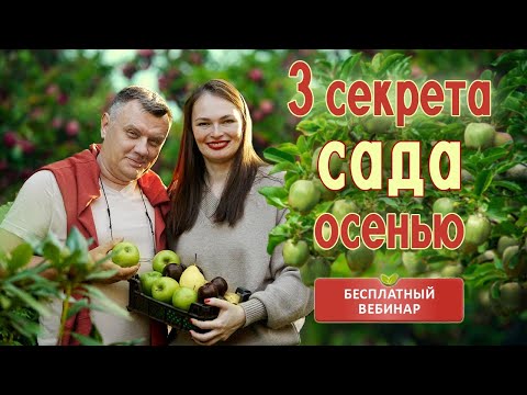 Видео: 3 секрета по уходу за фруктовым садом осенью! Вебинар и презентация Фруктового курса