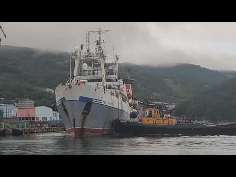 Видео: Швартовка судна БАТМ,,мыс Олютерский "к причалу.13.08.2023г.Петропавловск Комчатск.
