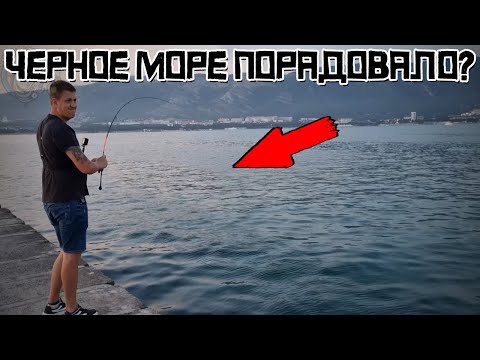 Видео: НАЛОВИЛ ДЕЛИКАТЕСОВ! Рыбалка и отдых на ЧЕРНОМ МОРЕ!