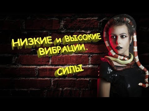 Видео: Низкие и высокие вибрации. Силы